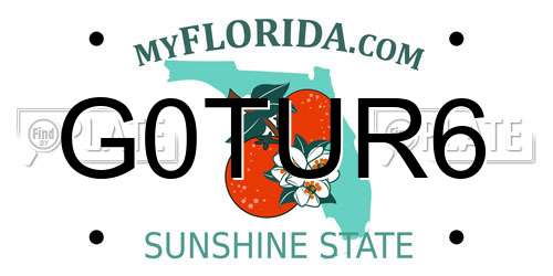 G0TUR6 Florida License Plate