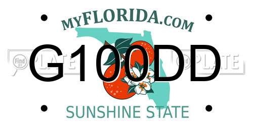 G100DD Florida License Plate