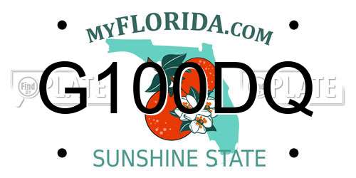 G100DQ Florida License Plate