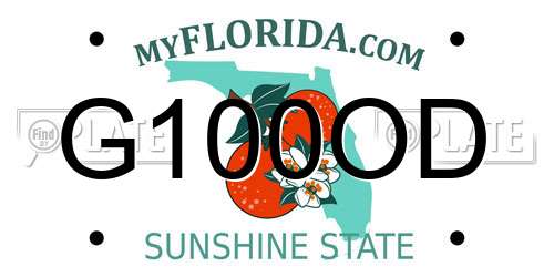 G100OD Florida License Plate