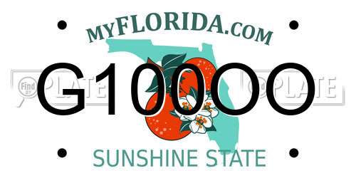 G100OO Florida License Plate