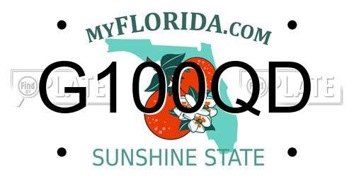 G100QD Florida License Plate