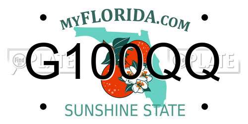 G100QQ Florida License Plate