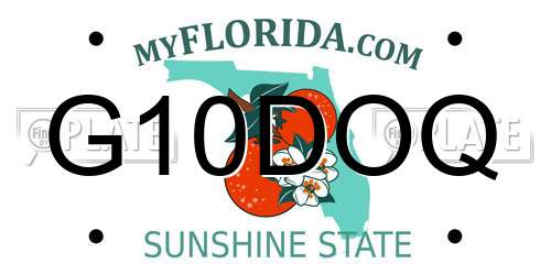 G10DOQ Florida License Plate