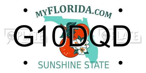 G10DQD Florida License Plate