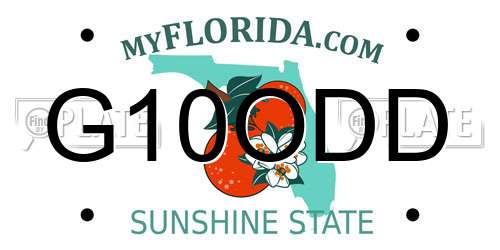 G10ODD Florida License Plate