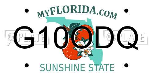 G10ODQ Florida License Plate