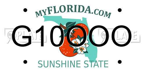G10OOO Florida License Plate