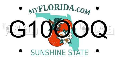G10OOQ Florida License Plate