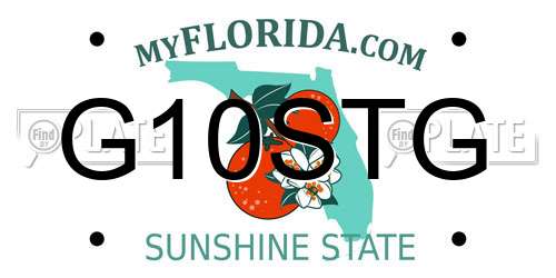 G10STG Florida License Plate