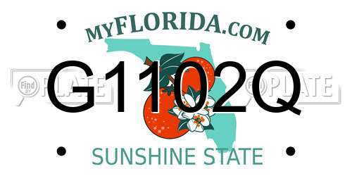 G1102Q Florida License Plate
