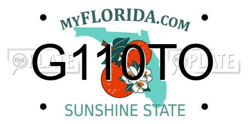 G110TO Florida License Plate