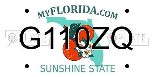 G110ZQ Florida License Plate
