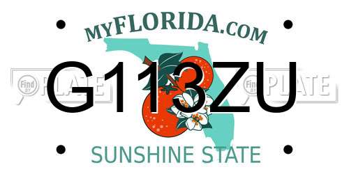 G113ZU Florida License Plate