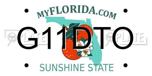G11DTO Florida License Plate