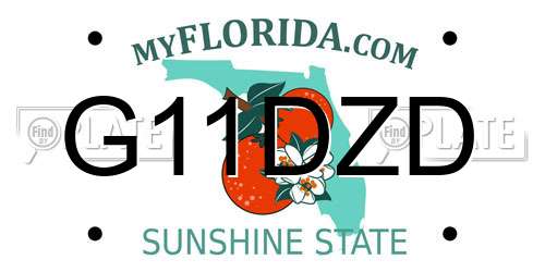 G11DZD Florida License Plate