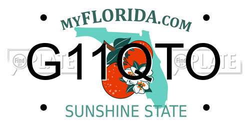 G11QTO Florida License Plate