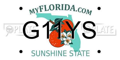 G11YS Florida License Plate