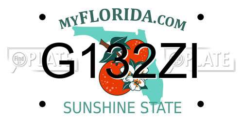 G132ZI Florida License Plate