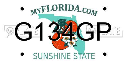 G134GP Florida License Plate