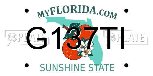 G137TI Florida License Plate