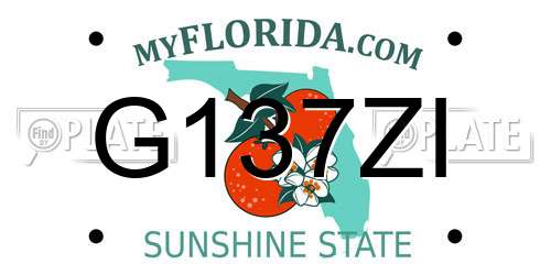 G137ZI Florida License Plate