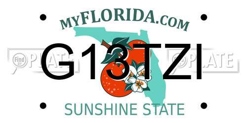 G13TZI Florida License Plate