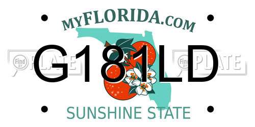 G181LD Florida License Plate