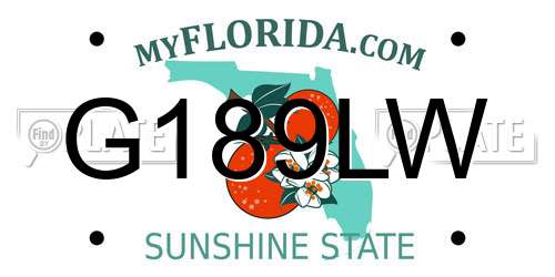 G189LW Florida License Plate