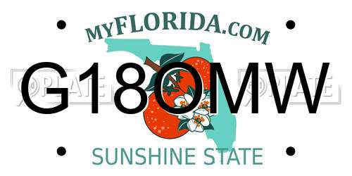 G18OMW Florida License Plate