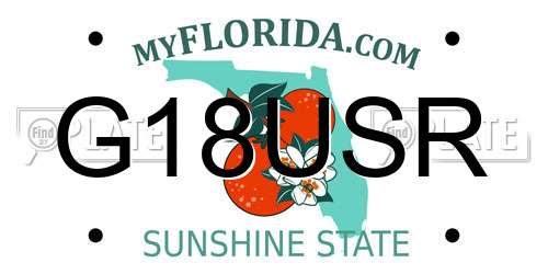 G18USR Florida License Plate