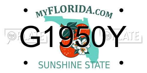 G1950Y Florida License Plate