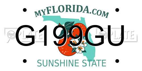 G199GU Florida License Plate