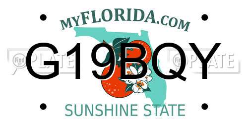 G19BQY Florida License Plate