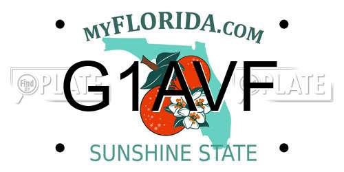 G1AVF Florida License Plate