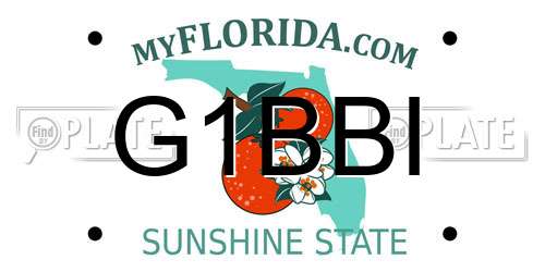 G1BBI Florida License Plate