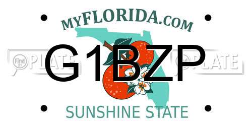 G1BZP Florida License Plate