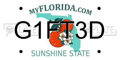G1FT3D Florida License Plate