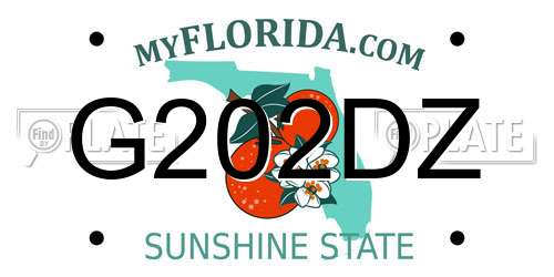G202DZ Florida License Plate