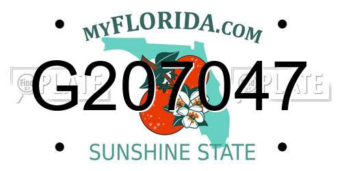 G207047 Florida License Plate