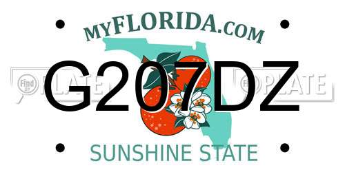 G207DZ Florida License Plate