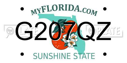 G207QZ Florida License Plate