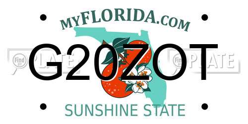 G20ZOT Florida License Plate