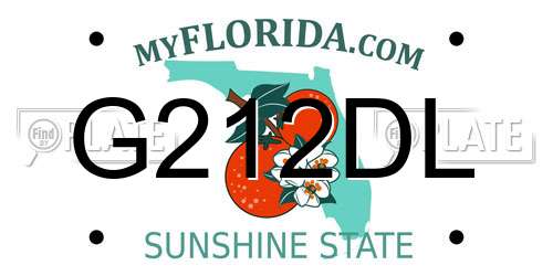 G212DL Florida License Plate