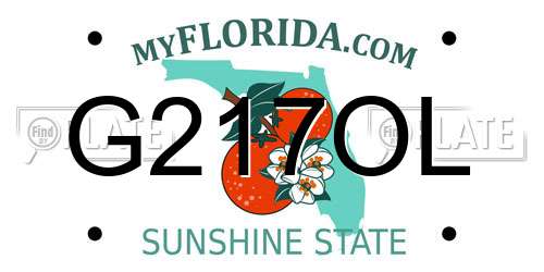 G217OL Florida License Plate