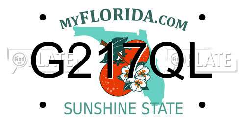 G217QL Florida License Plate