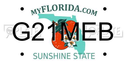 G21MEB Florida License Plate