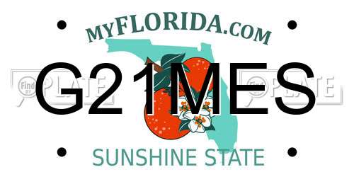 G21MES Florida License Plate