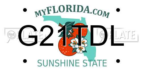 G21TDL Florida License Plate
