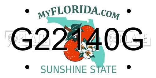 G22140G Florida License Plate